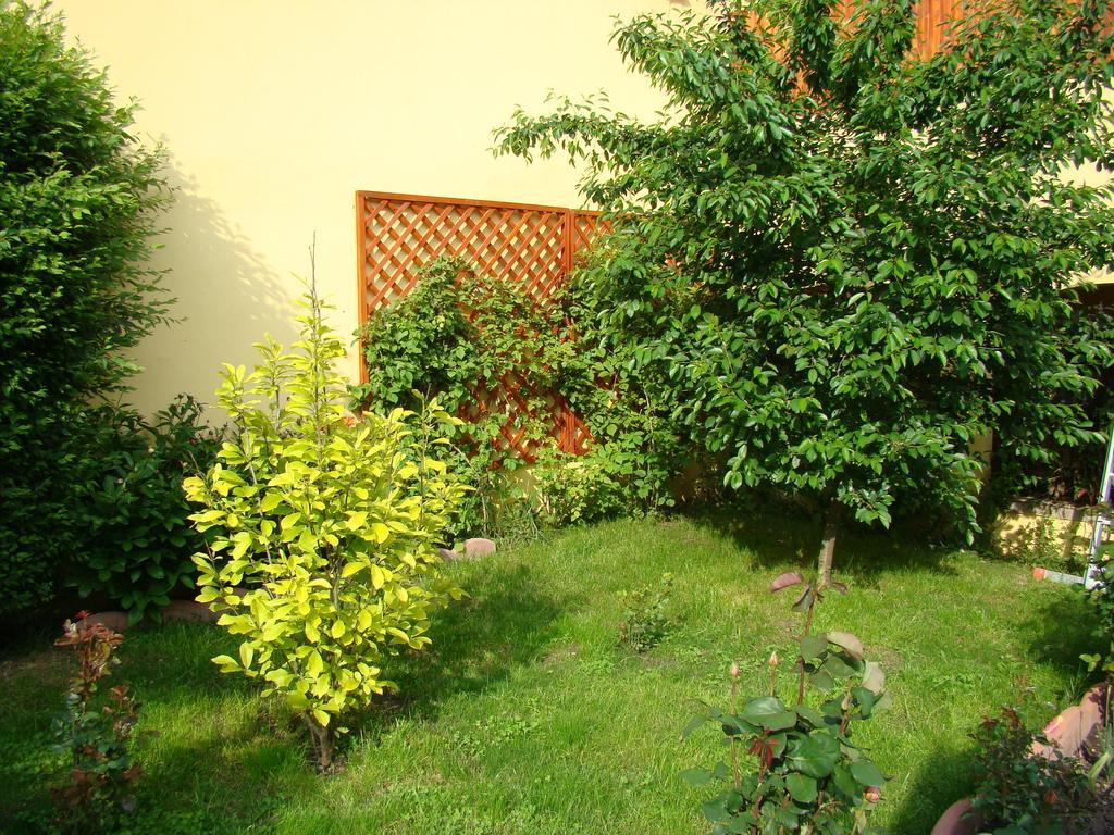 Pensiunea Magnolia Sibiu Luaran gambar