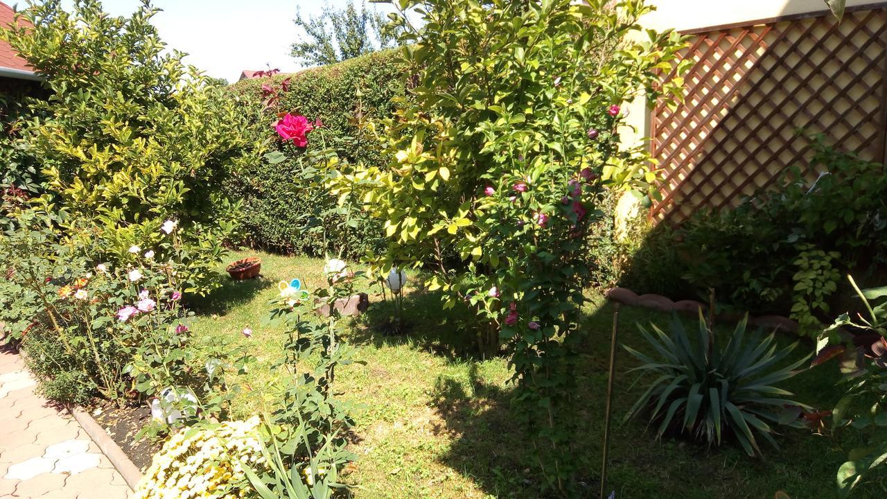 Pensiunea Magnolia Sibiu Luaran gambar