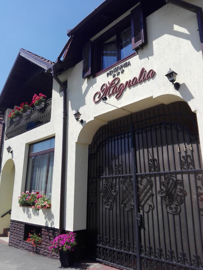 Pensiunea Magnolia Sibiu Luaran gambar