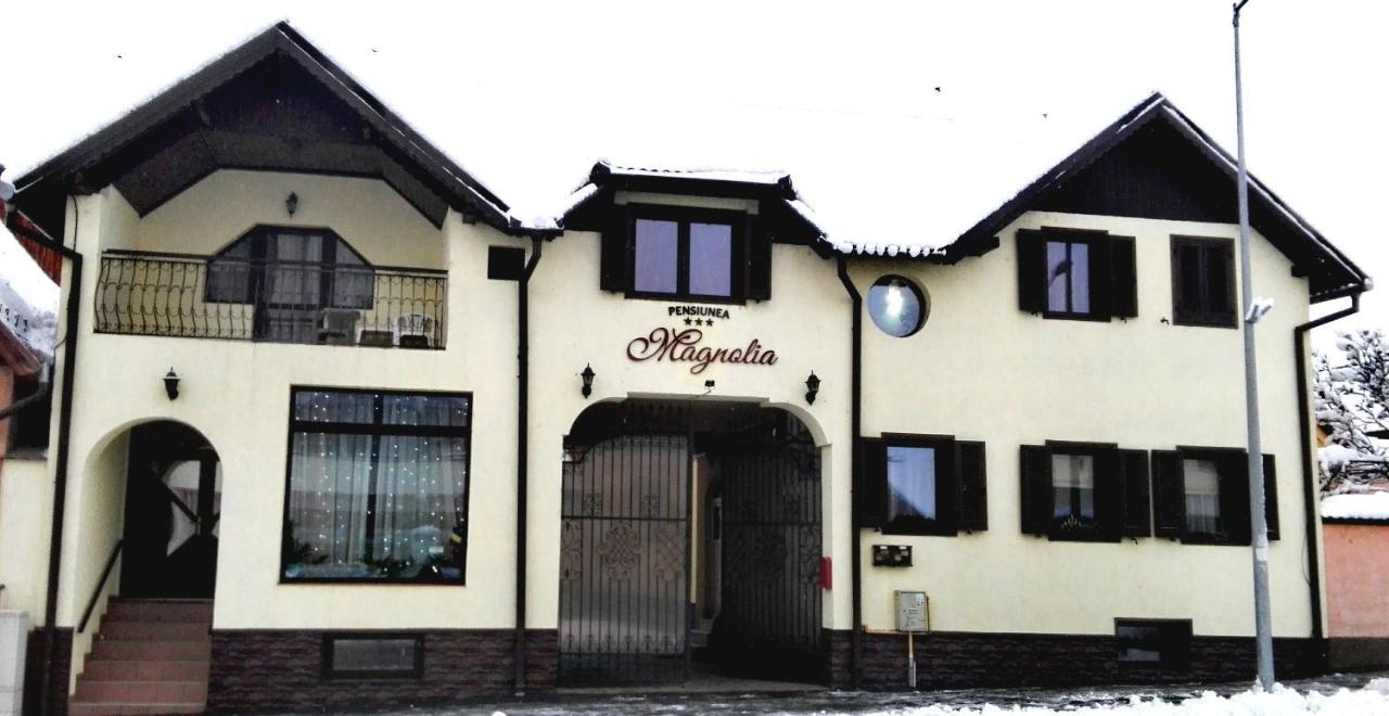 Pensiunea Magnolia Sibiu Luaran gambar