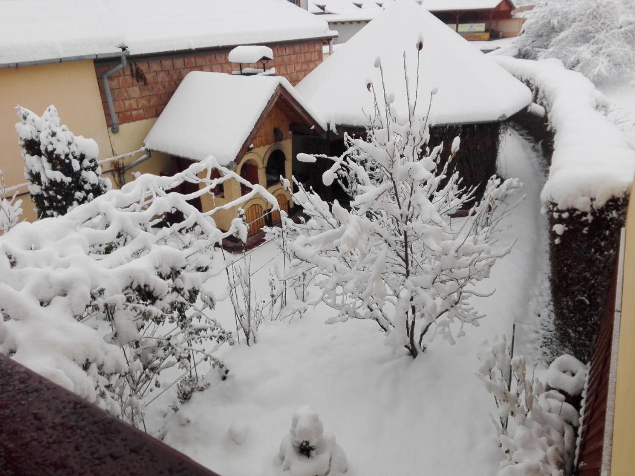 Pensiunea Magnolia Sibiu Luaran gambar